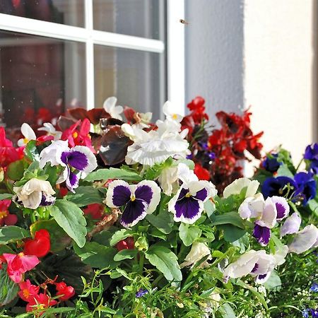 Lemongrove House Bed and Breakfast Enniscorthy Εξωτερικό φωτογραφία